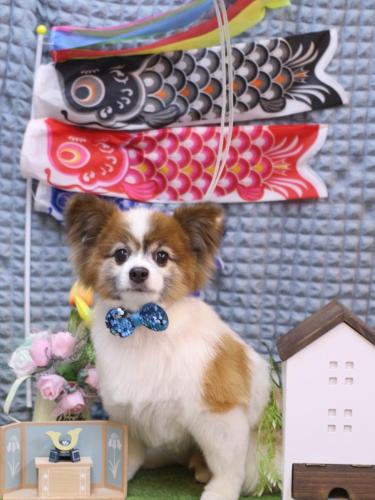 20230519ライムくん